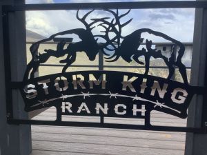 Storm_King_ranch_auction_5_26