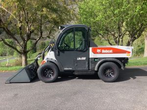 Bobcat_uw56_5_26