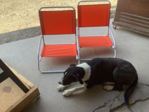 Beach_chairs_7_26