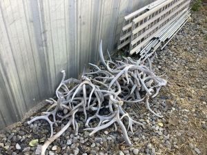 Elk_sheds_7_26