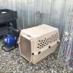 Dog_kennel_7_26